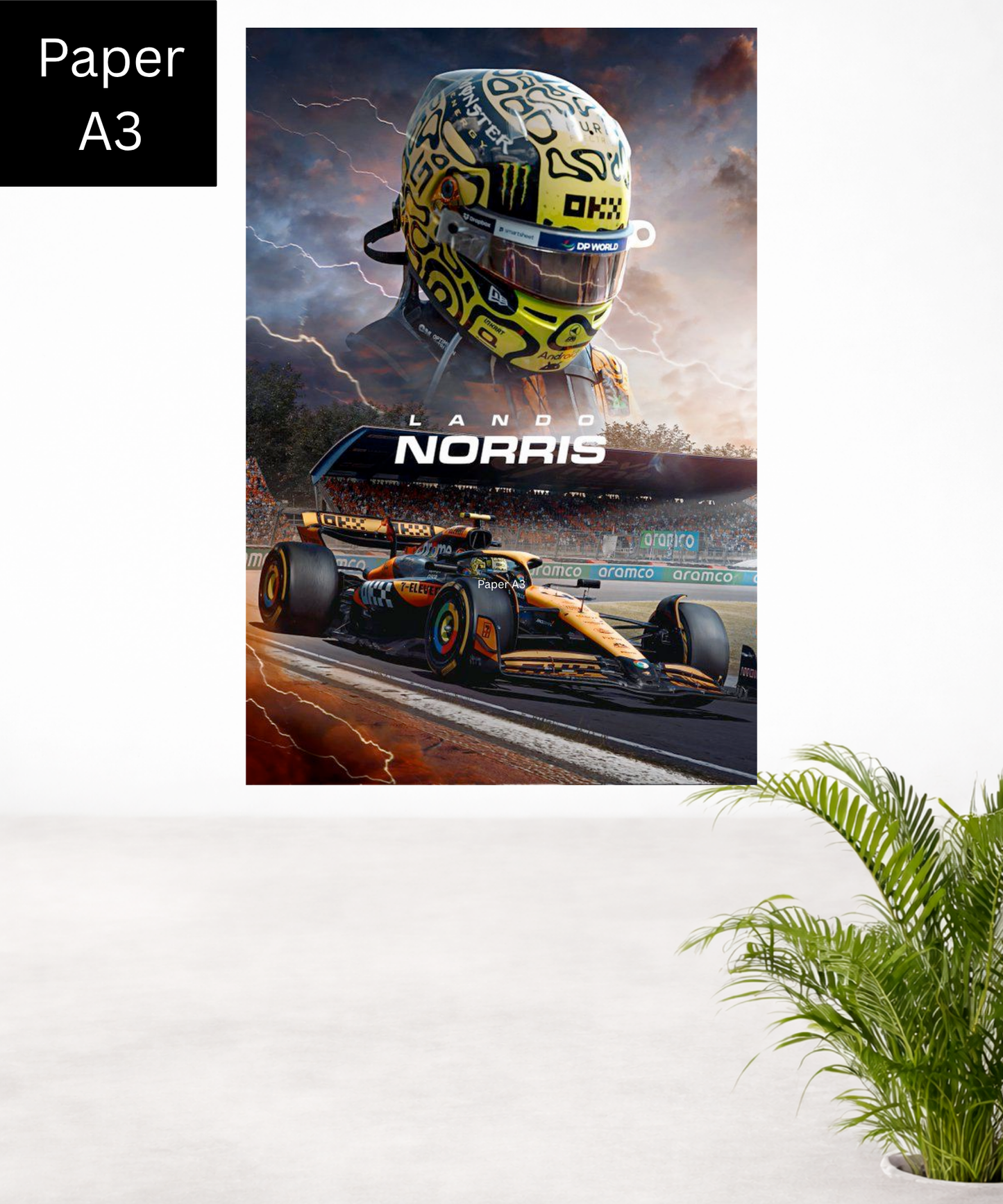 Lando Norris|F1|A3