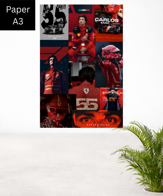 Carlos Sainz|55|A3