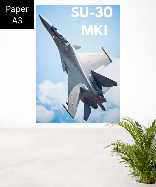 Su 30|Flanker x MKI|A3