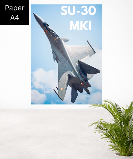 Su 30|Flanker x MKI|A4