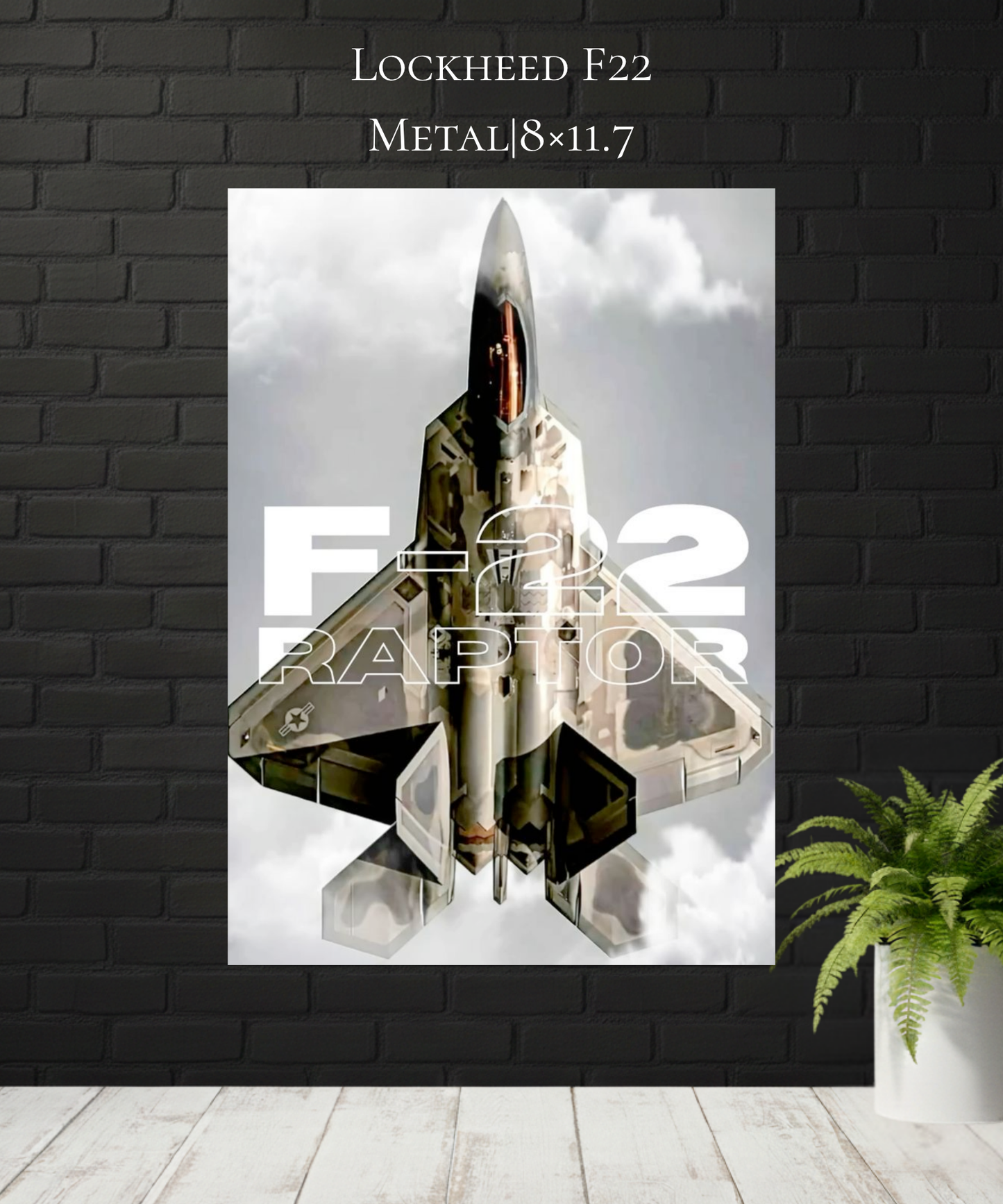 F22|Raptor|Metal