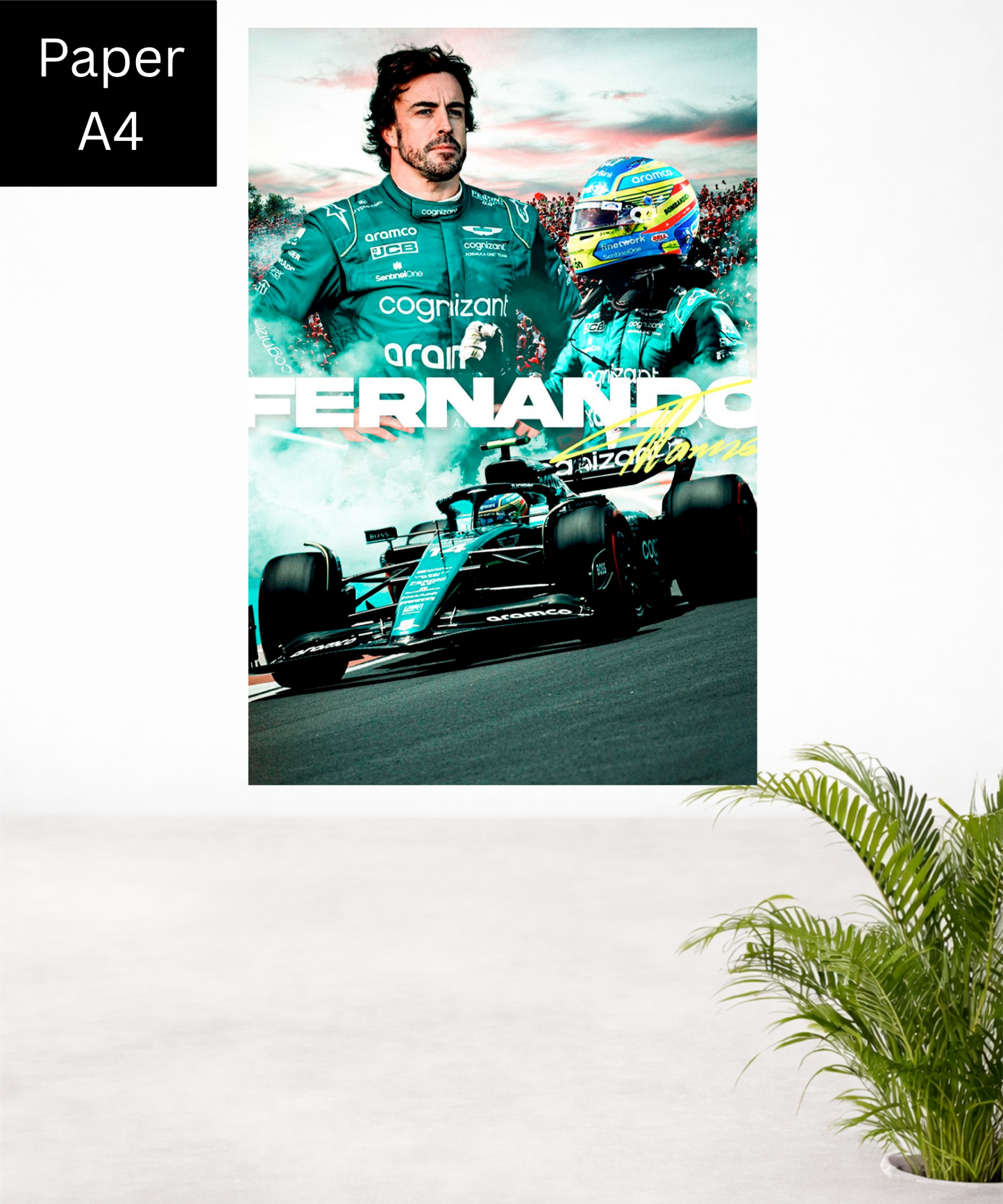 Fernando Alonso|14|A4